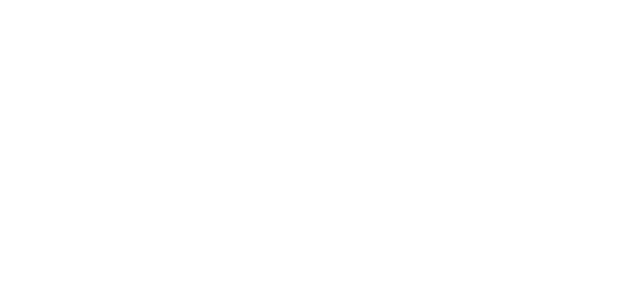 Rafi Law Group