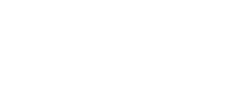 Rafi Law Group